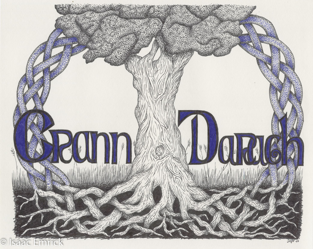 Crann Darach: Oak Tree