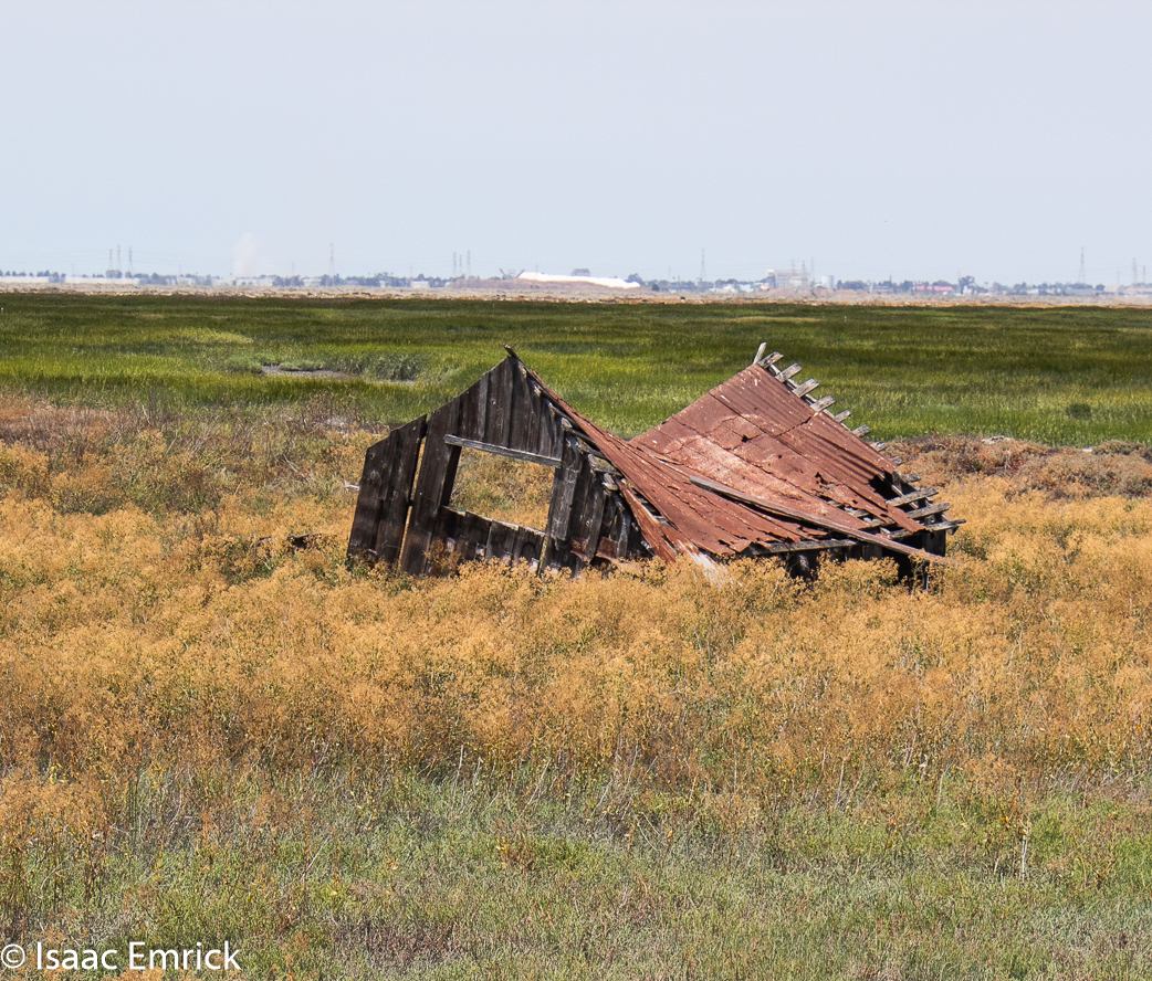 Drawbridge-29