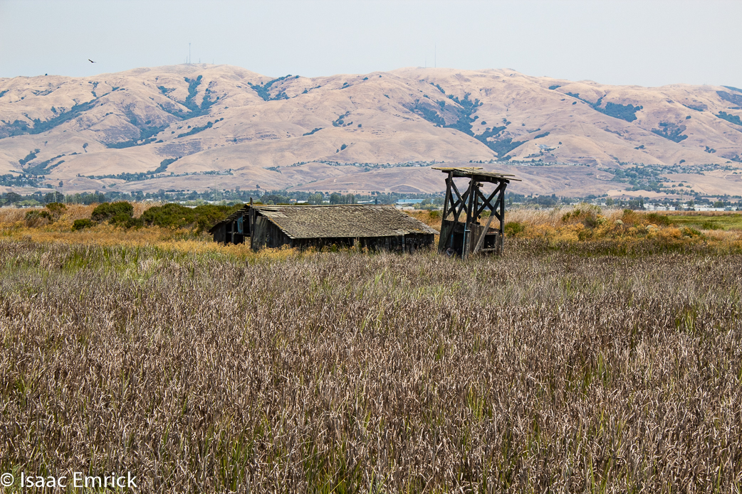 Drawbridge-36