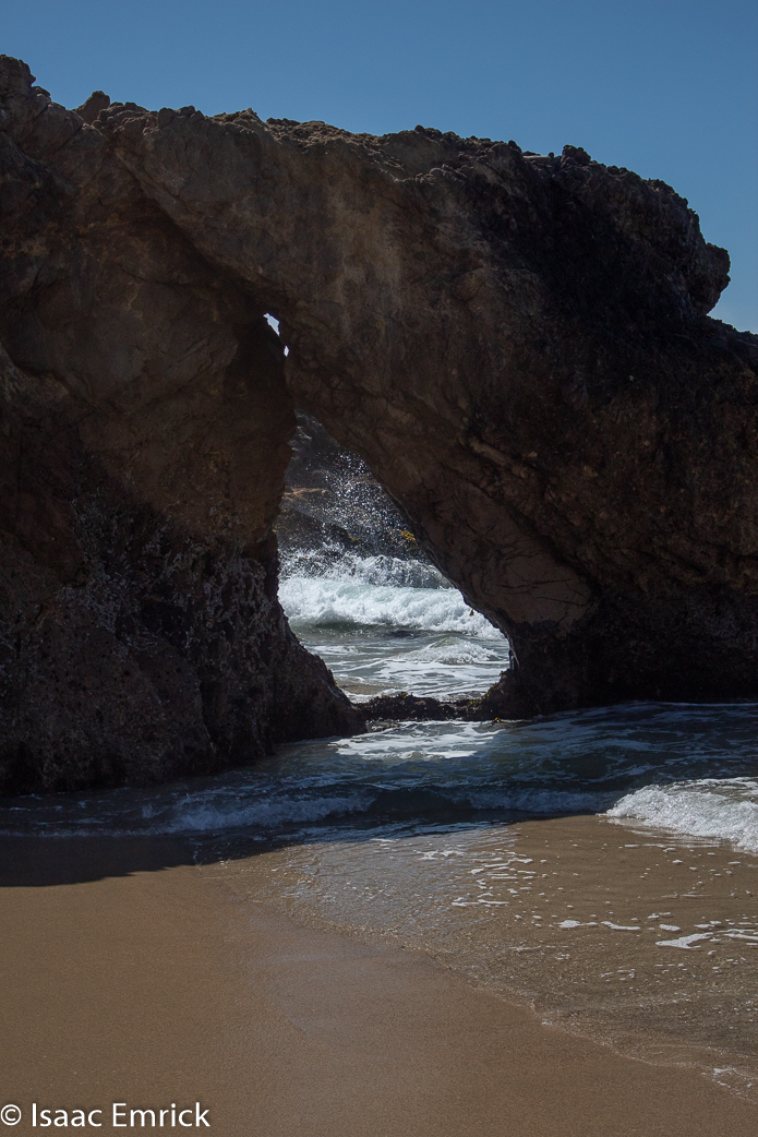 Garrapata 11