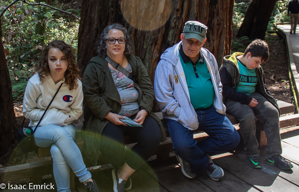 Muir Woods 5