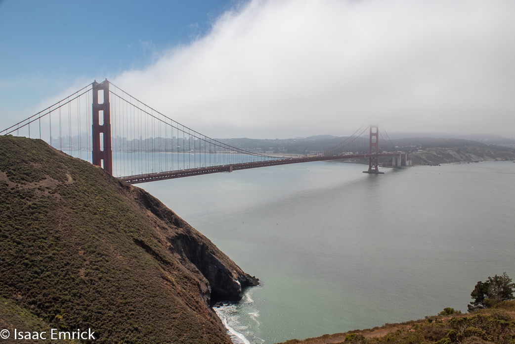 Muir Woods 13