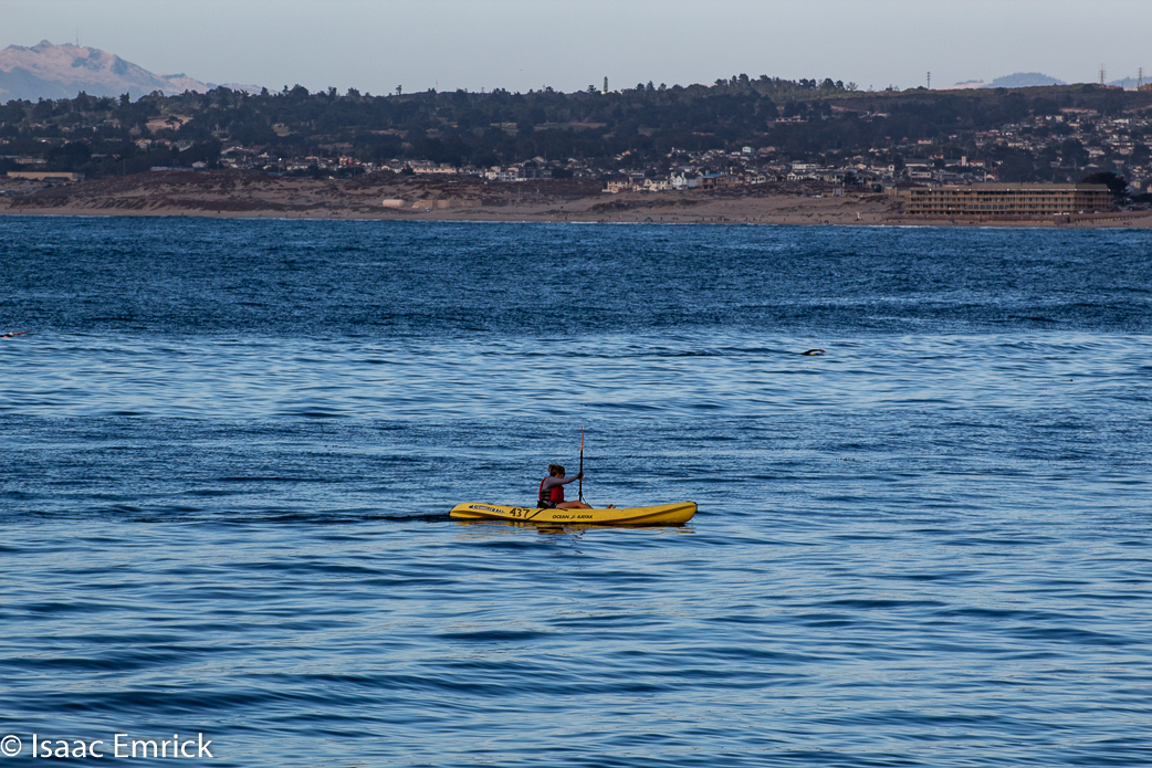 Monterey Aquarium 46