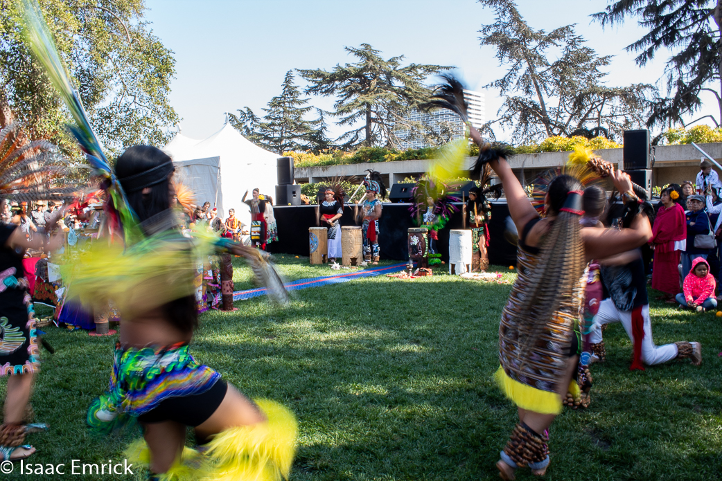 OMCA-Muertos-2018-49