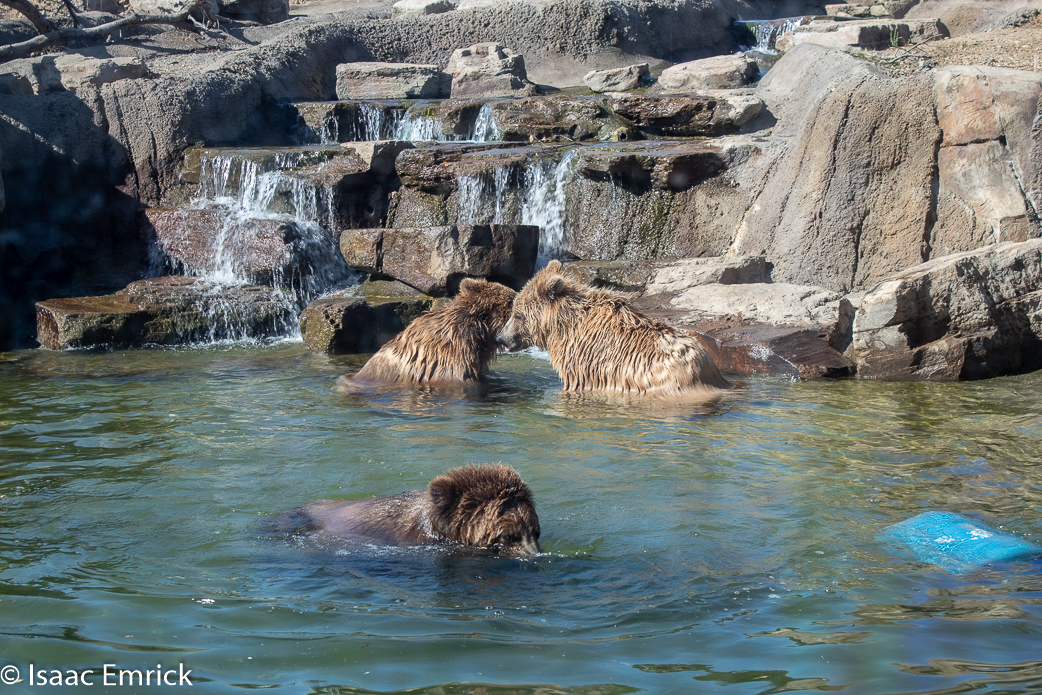 Oakland Zoo 46