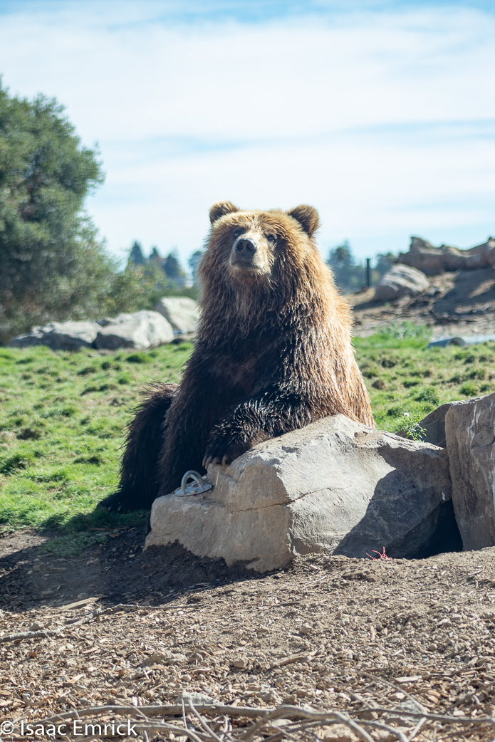 Oakland Zoo 54
