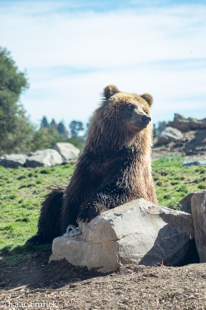 Oakland Zoo 55