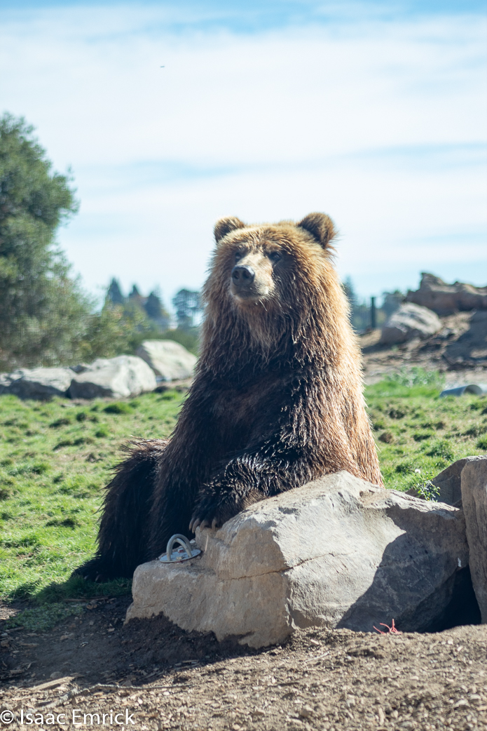 Oakland Zoo 56