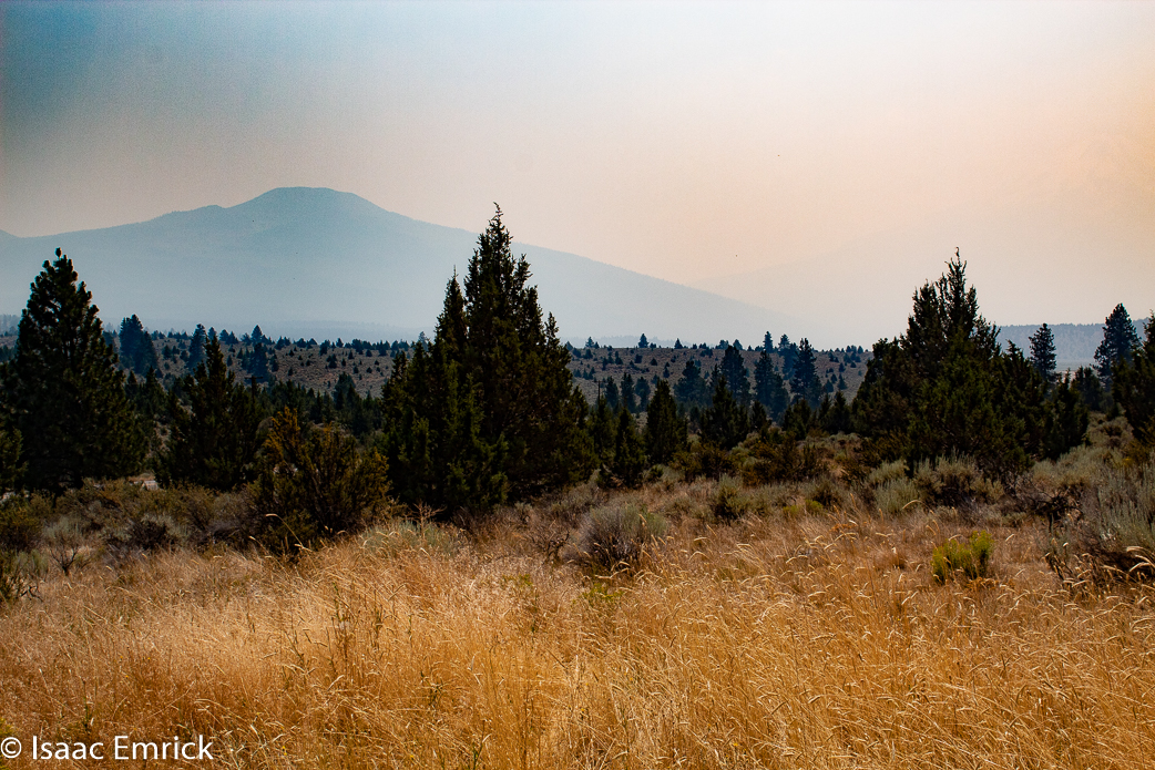 Oregon - 22