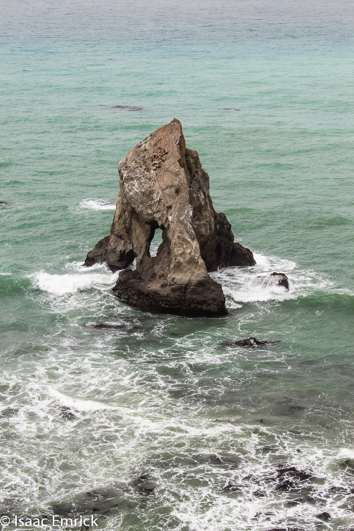 PCH Hardy Rock 2