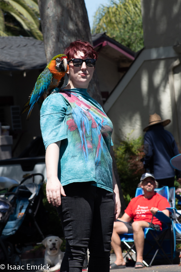 Parade 36