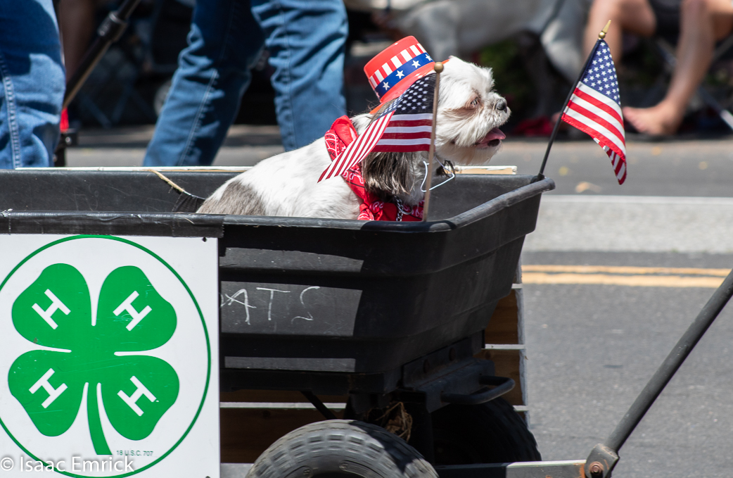 Parade 42